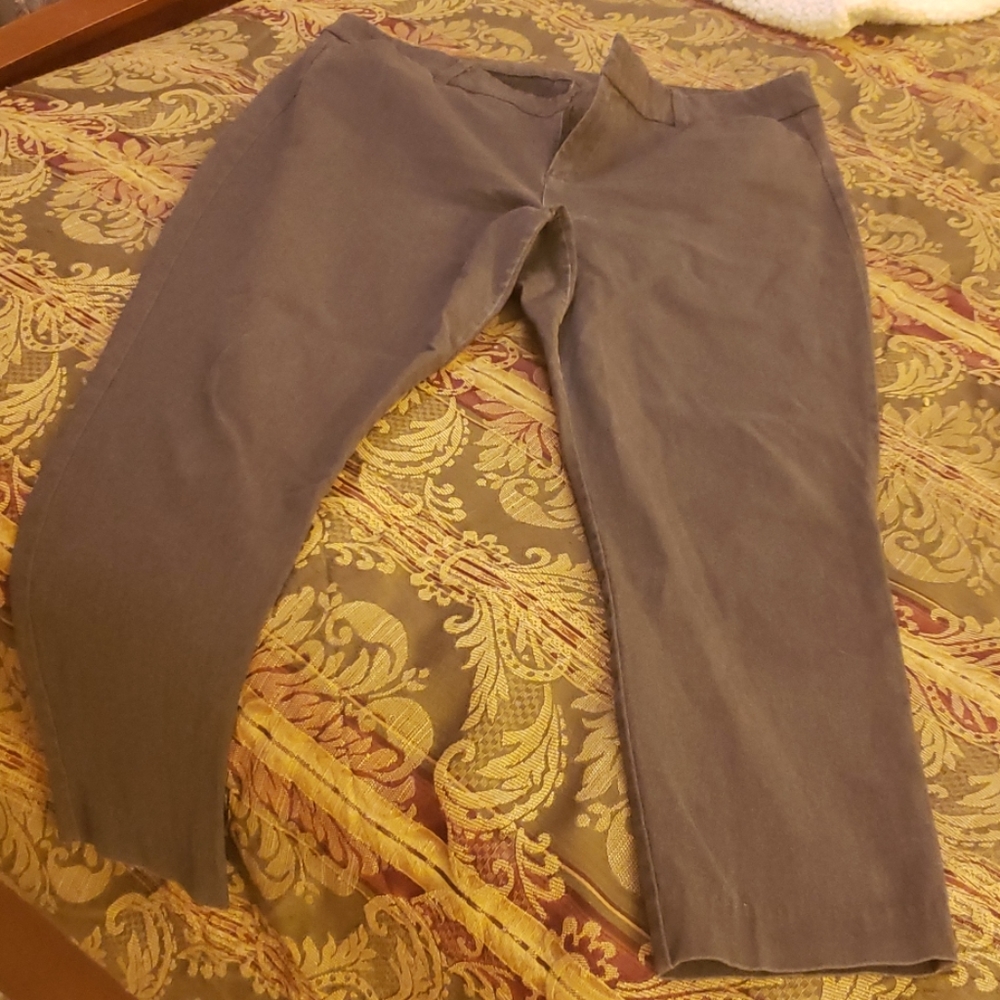 Old Navy Pixie Ankle Pant